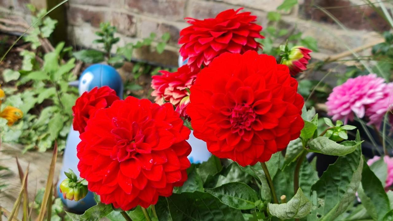 Cottage Grove Homestay Rooms 포츠머스 외부 사진