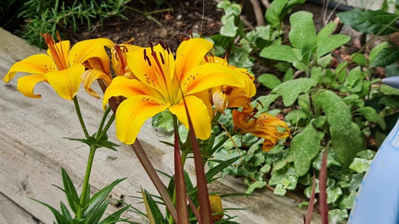 Cottage Grove Homestay Rooms 포츠머스 외부 사진